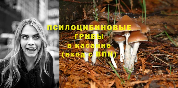 винт Беломорск