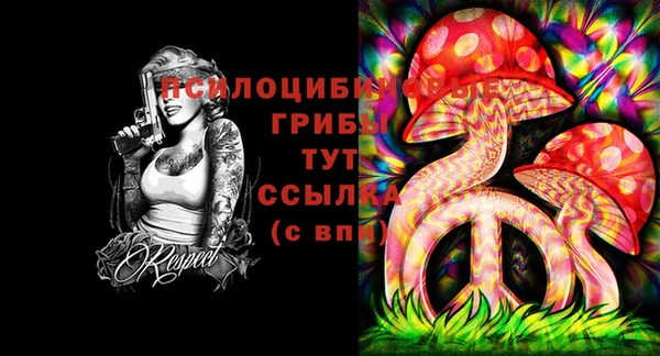 винт Беломорск